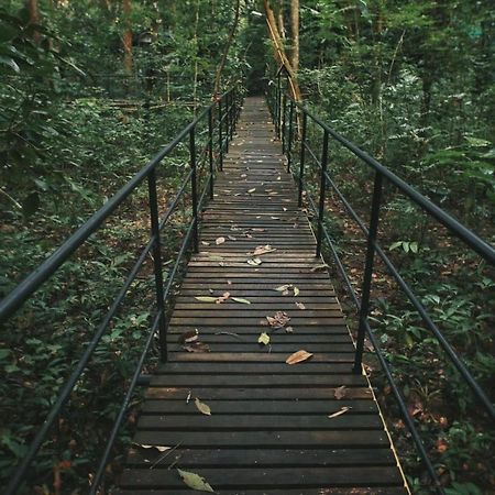 카오속 트리하우스 리조트 Khao Sok National Park 외부 사진