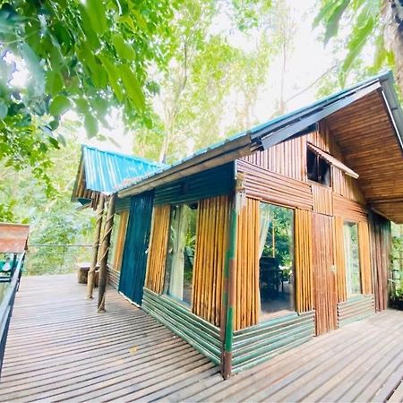 카오속 트리하우스 리조트 Khao Sok National Park 외부 사진