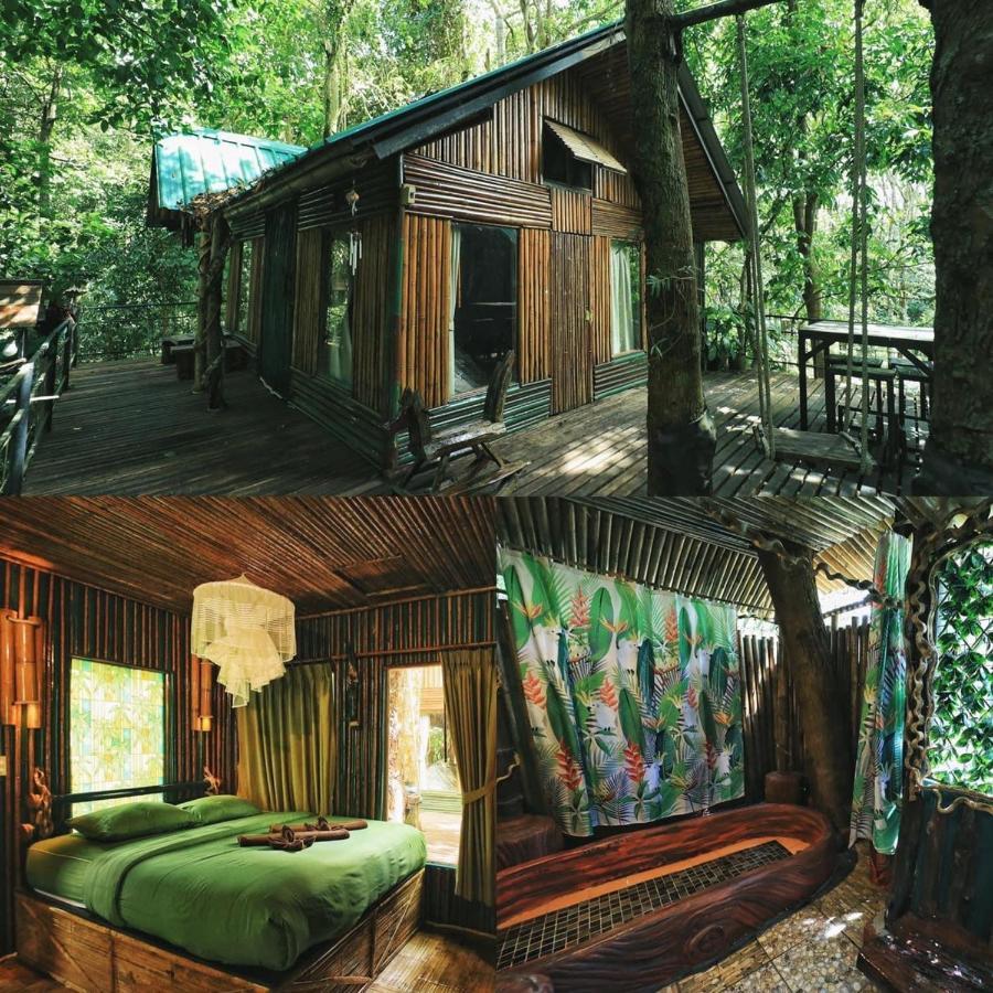 카오속 트리하우스 리조트 Khao Sok National Park 외부 사진