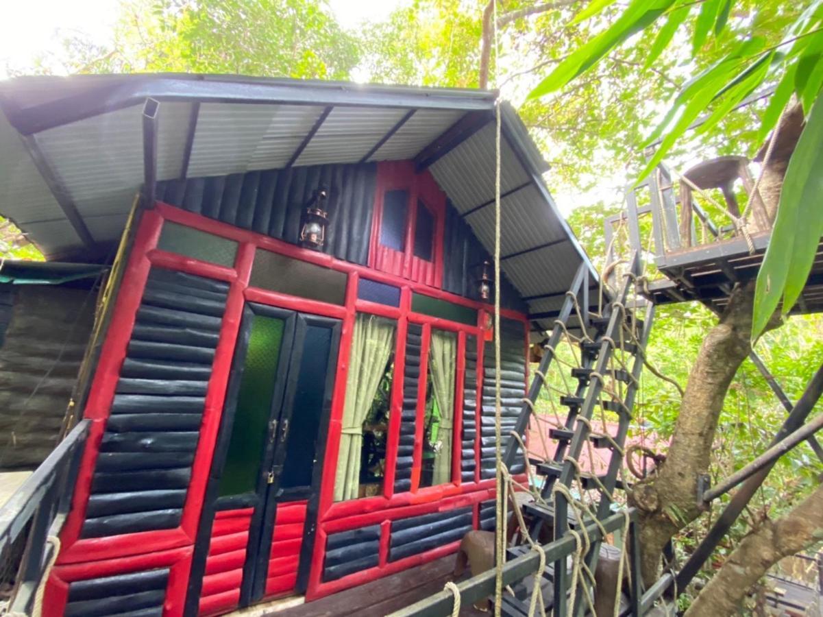 카오속 트리하우스 리조트 Khao Sok National Park 외부 사진