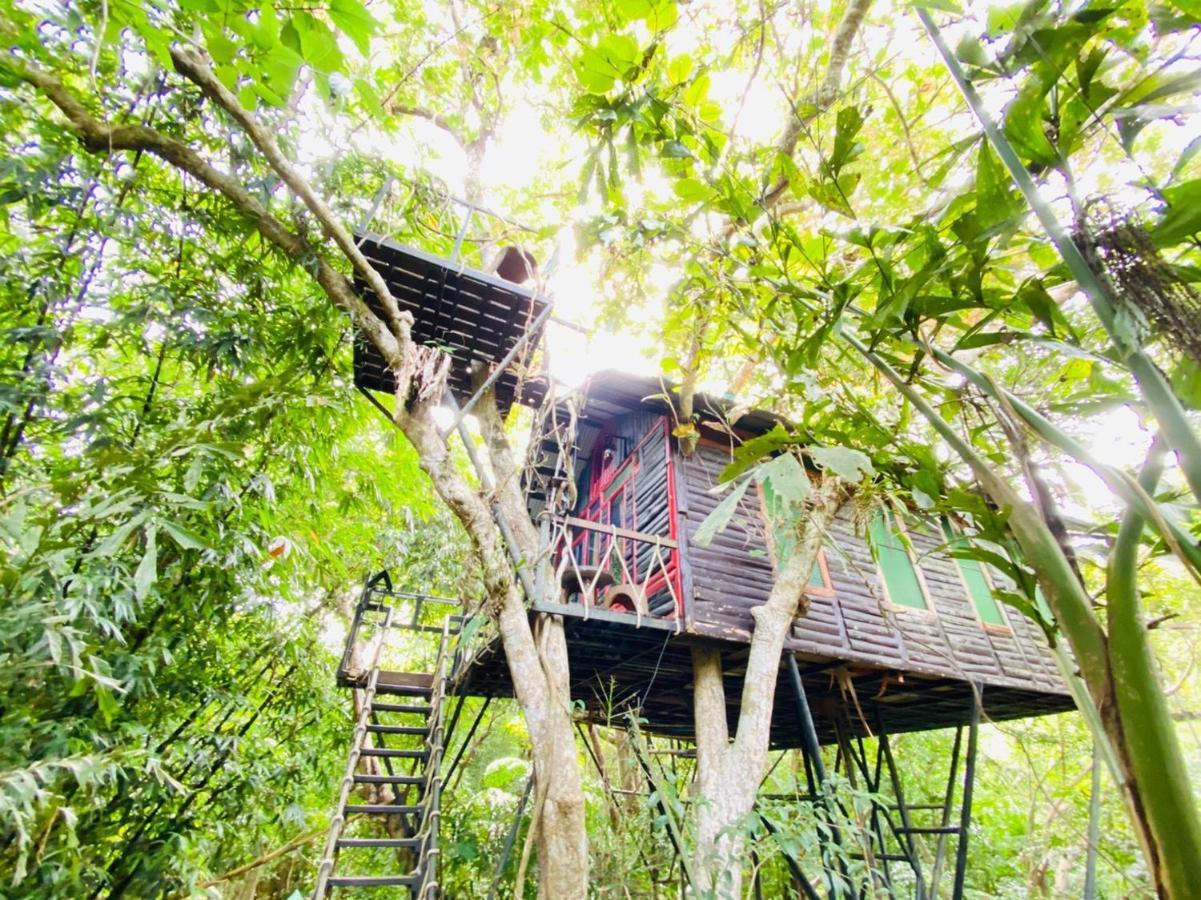 카오속 트리하우스 리조트 Khao Sok National Park 외부 사진