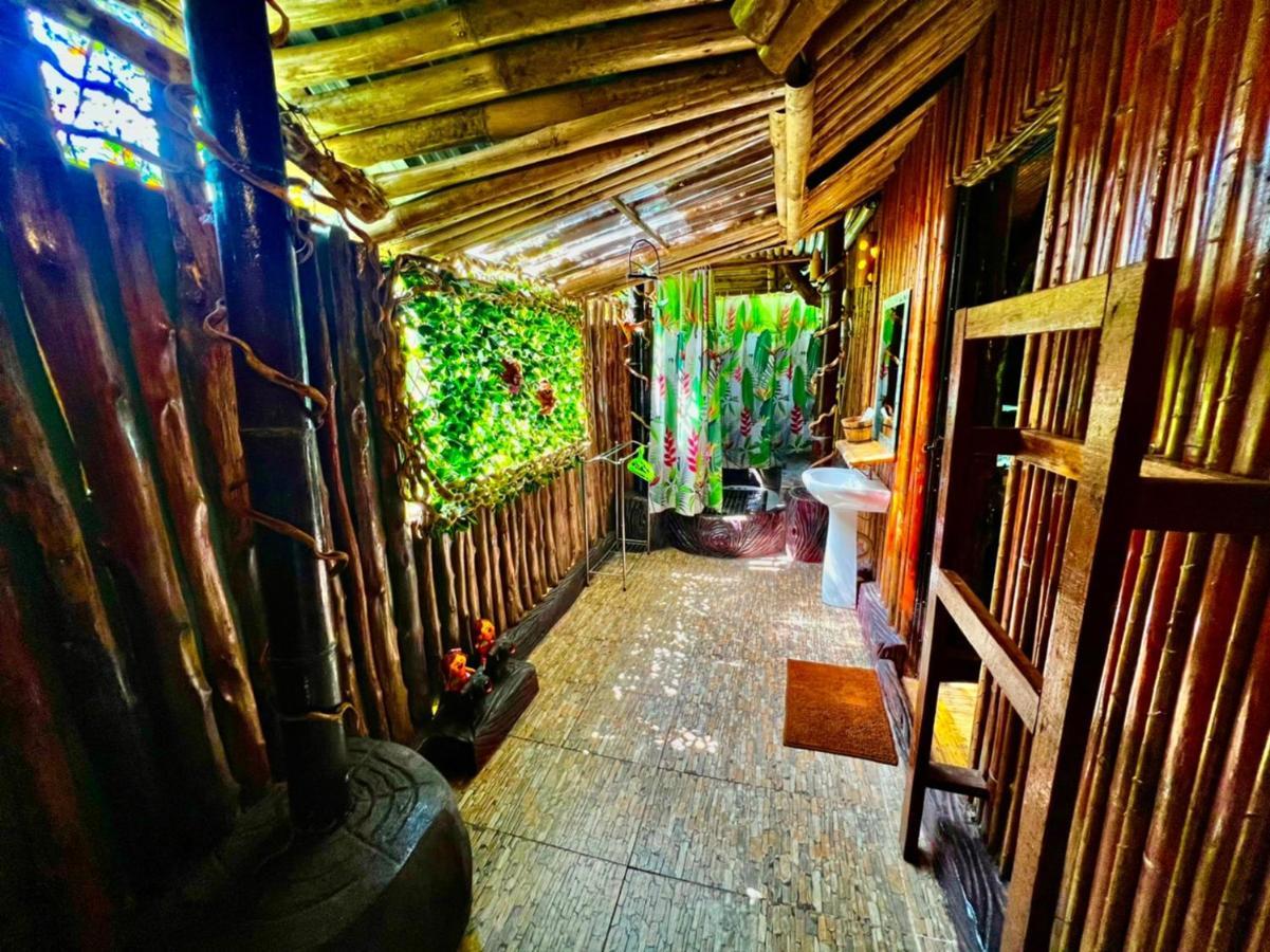 카오속 트리하우스 리조트 Khao Sok National Park 외부 사진