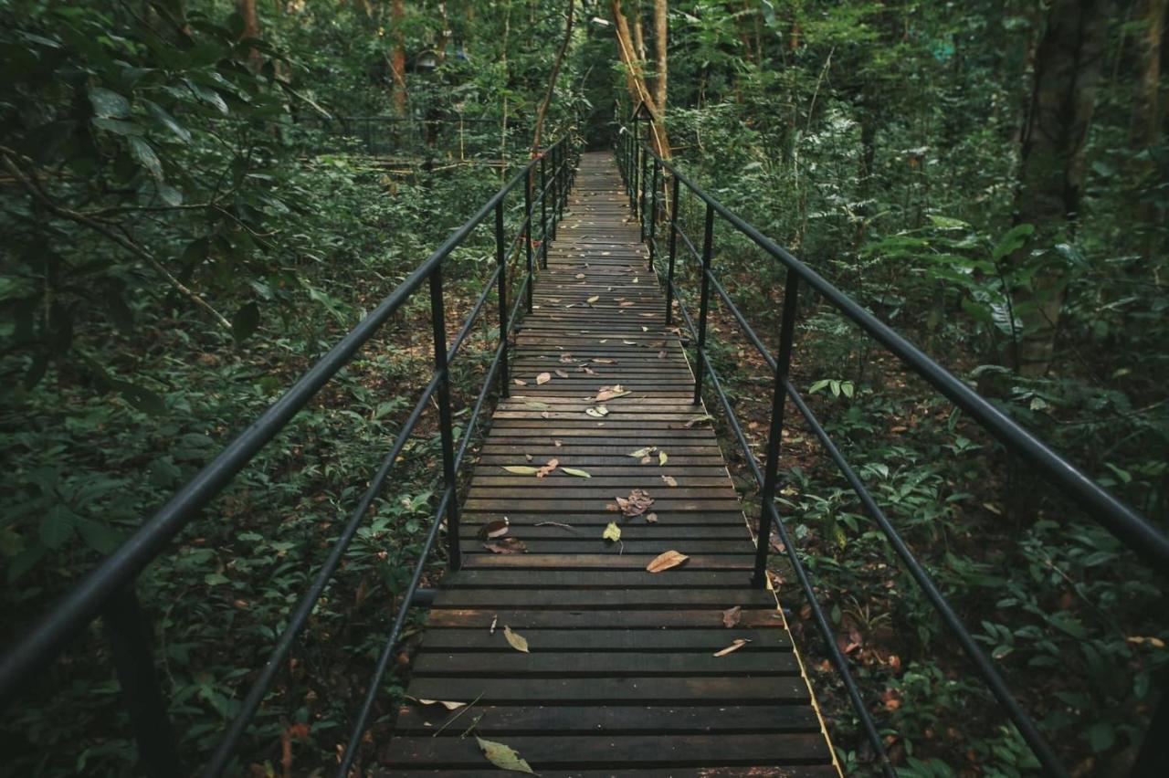 카오속 트리하우스 리조트 Khao Sok National Park 외부 사진