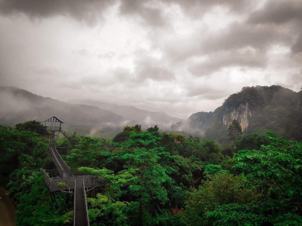 카오속 트리하우스 리조트 Khao Sok National Park 외부 사진