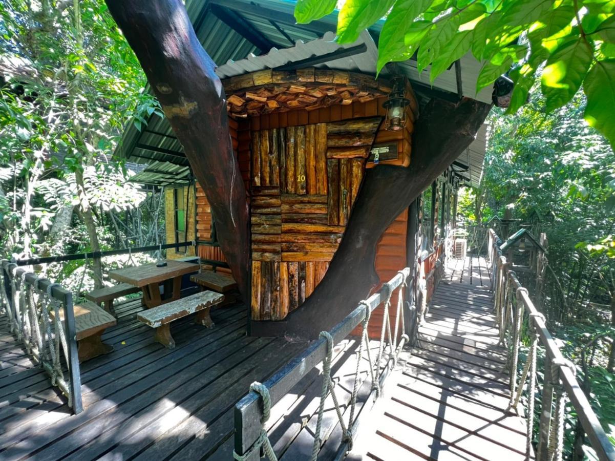카오속 트리하우스 리조트 Khao Sok National Park 외부 사진