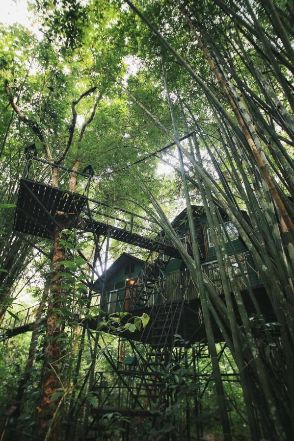 카오속 트리하우스 리조트 Khao Sok National Park 외부 사진