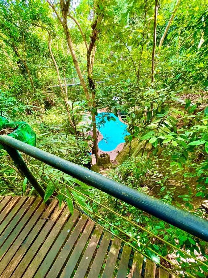 카오속 트리하우스 리조트 Khao Sok National Park 외부 사진