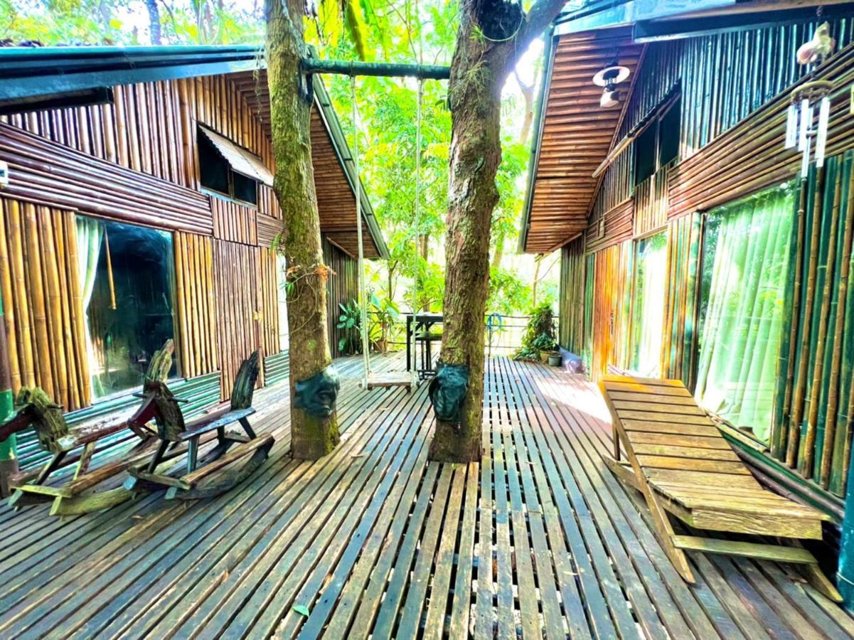 카오속 트리하우스 리조트 Khao Sok National Park 외부 사진