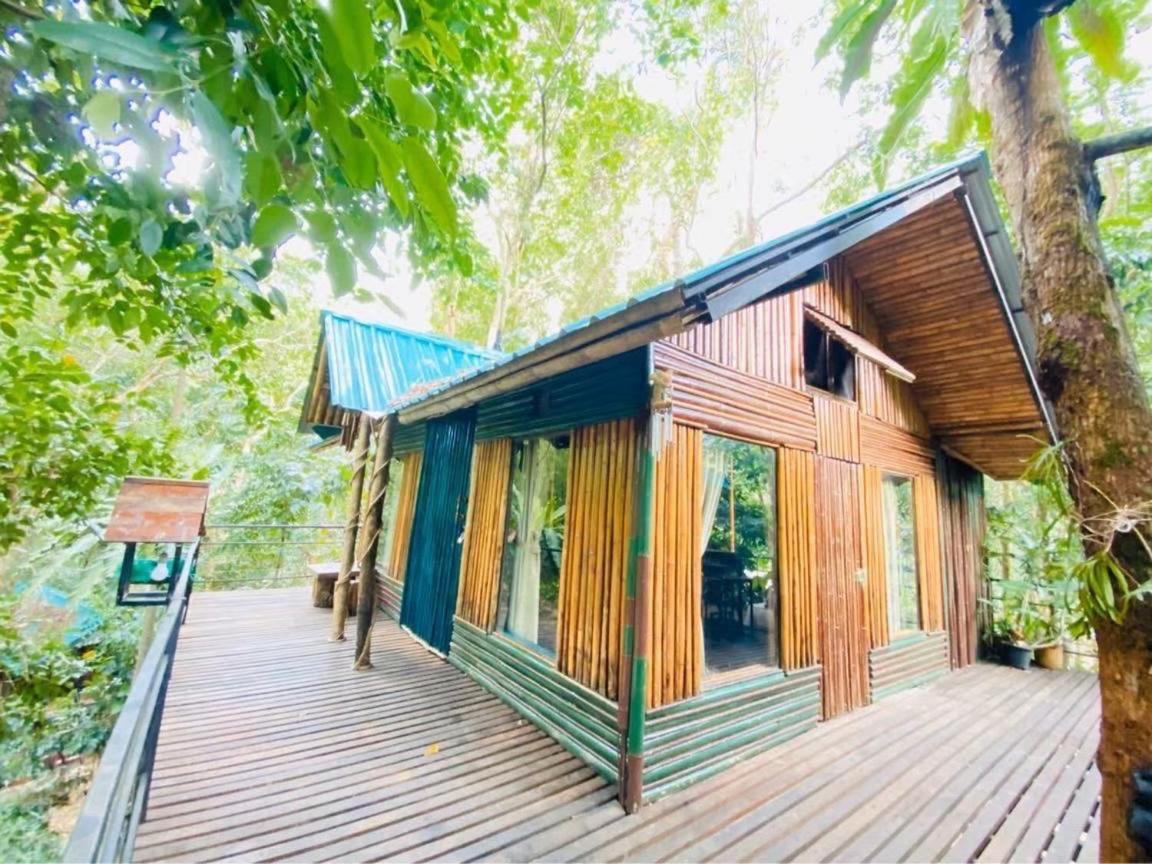 카오속 트리하우스 리조트 Khao Sok National Park 외부 사진