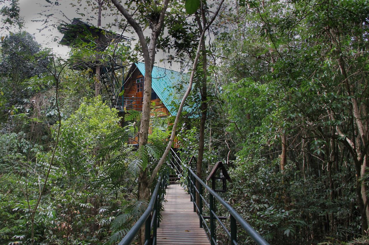 카오속 트리하우스 리조트 Khao Sok National Park 외부 사진
