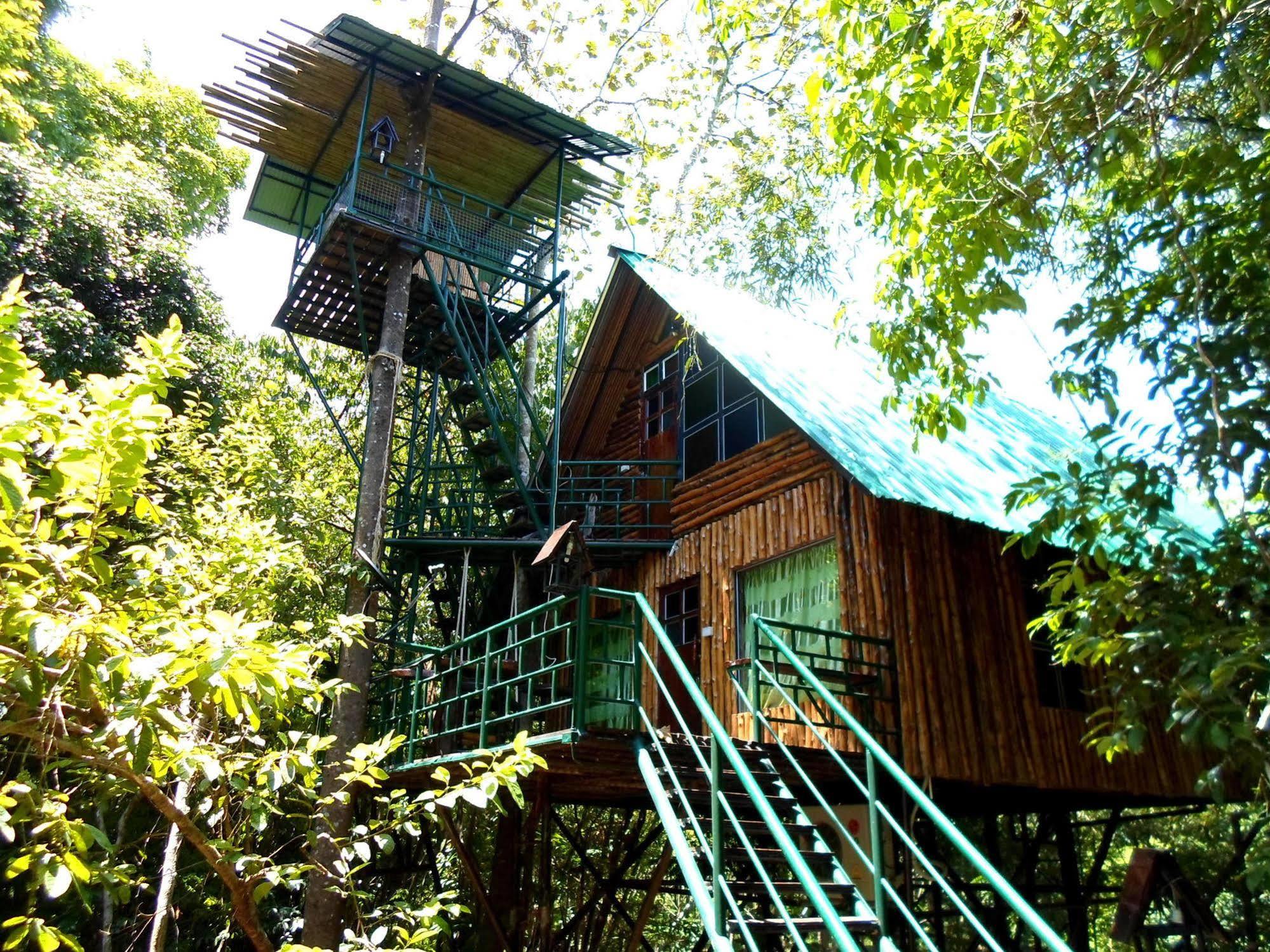 카오속 트리하우스 리조트 Khao Sok National Park 외부 사진