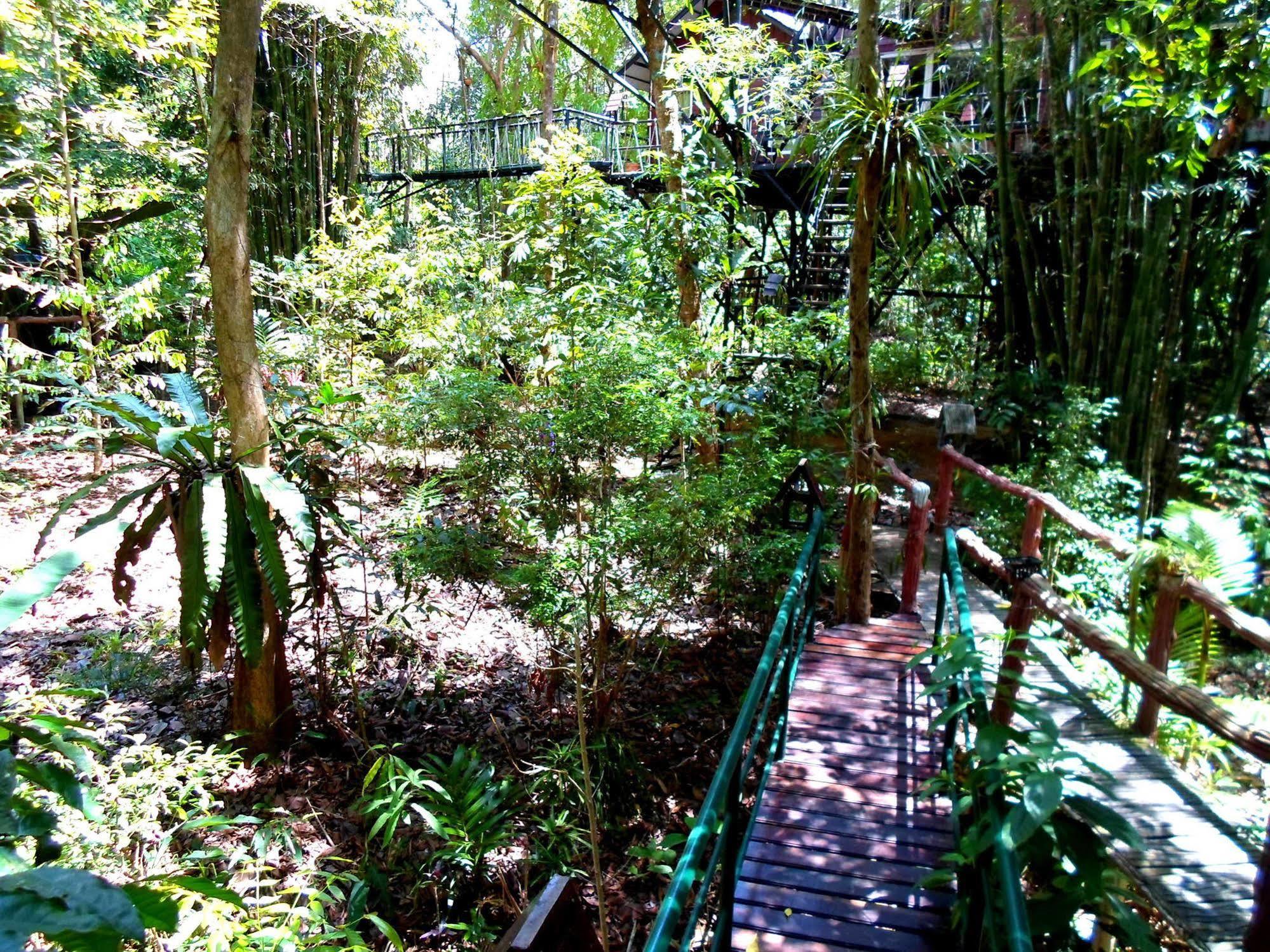 카오속 트리하우스 리조트 Khao Sok National Park 외부 사진