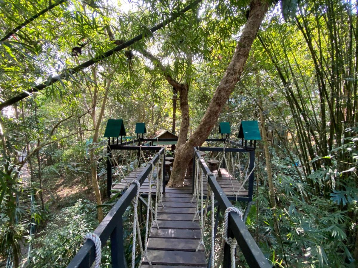 카오속 트리하우스 리조트 Khao Sok National Park 외부 사진