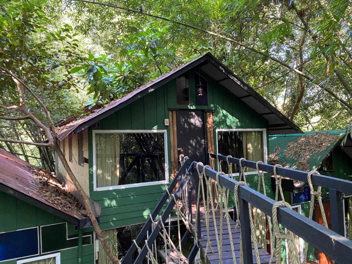 카오속 트리하우스 리조트 Khao Sok National Park 외부 사진