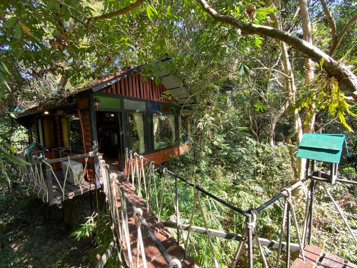 카오속 트리하우스 리조트 Khao Sok National Park 외부 사진