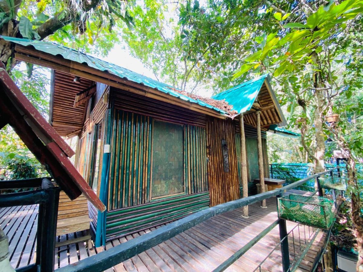 카오속 트리하우스 리조트 Khao Sok National Park 외부 사진